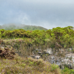 mejor fecha para viajar a Galápagos