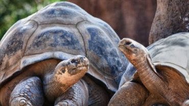 Galápagos 4 días 3 noches