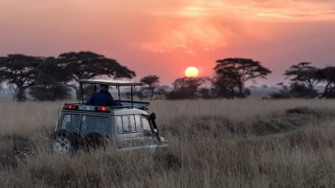 Safaris en África