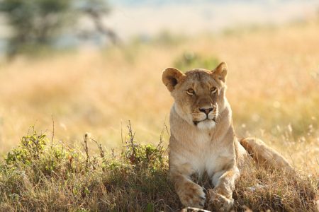 tour a sudafrica desde ecuador