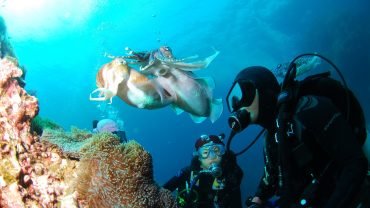 Actividades para Hacer en Galápagos