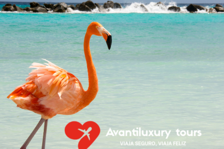 Guía Rapida de Aruba para visitarla