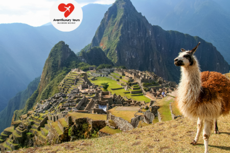 ¿Cuáles son los mejores circuitos para visitar Machu Picchu? Diferencias y precios