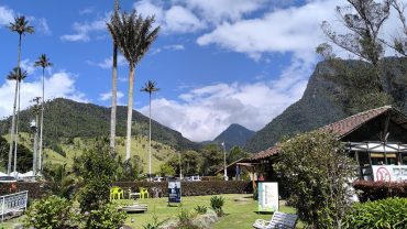 Tour del Café en Colombia desde Ecuador